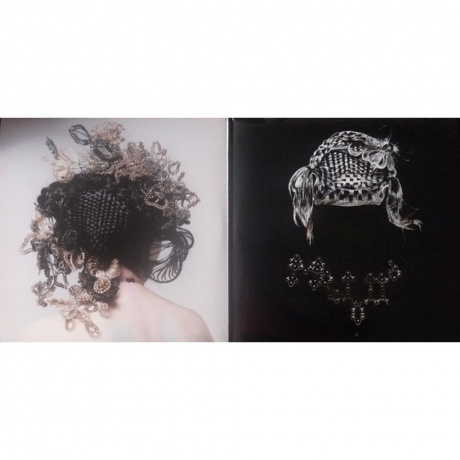 Bjork - Medulla (5016958060916) виниловая пластинка - фото 3