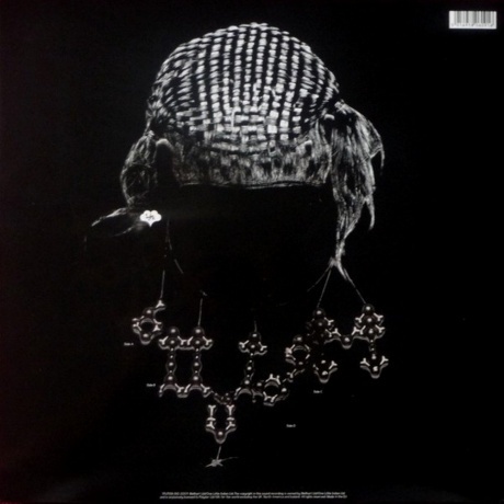 Bjork - Medulla (5016958060916) виниловая пластинка - фото 5