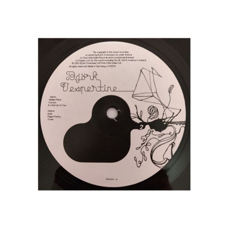 5016958046019, Виниловая пластинка Bjork, Vespertine - фото 4