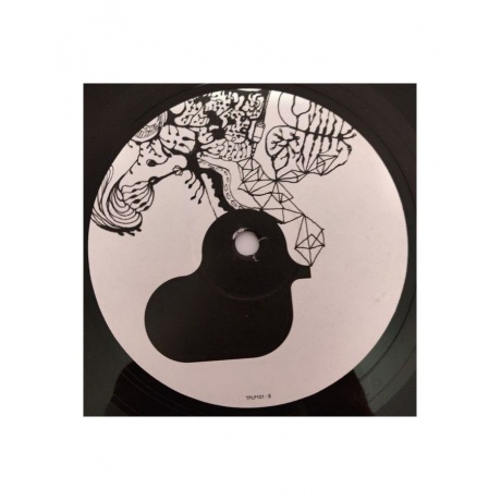 5016958046019, Виниловая пластинка Bjork, Vespertine - фото 5