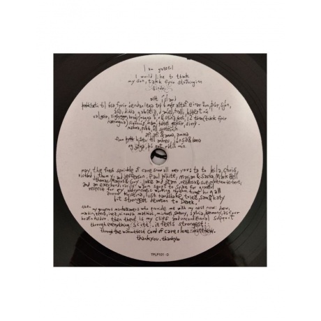 5016958046019, Виниловая пластинка Bjork, Vespertine - фото 9