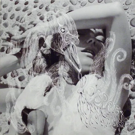 Bjork - Vespertine (5016958046019) виниловая пластинка