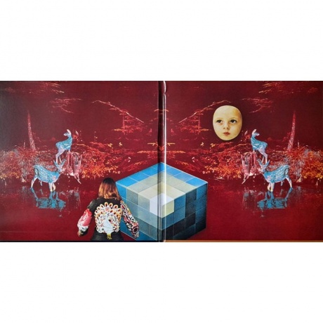 Black Mountain - In The Future (0656605209012) виниловая пластинка - фото 2