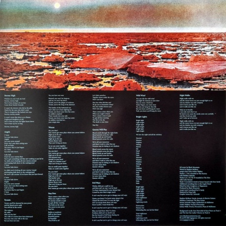 Black Mountain - In The Future (0656605209012) виниловая пластинка - фото 8