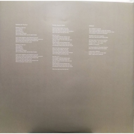 0656605227719, Black Mountain, IV виниловая пластинка - фото 6