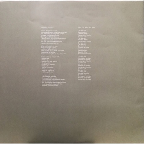 0656605227719, Black Mountain, IV виниловая пластинка - фото 10