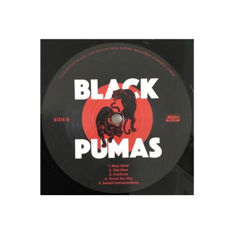 5400863011536, Виниловая пластинка Black Pumas, Black Pumas - фото 4