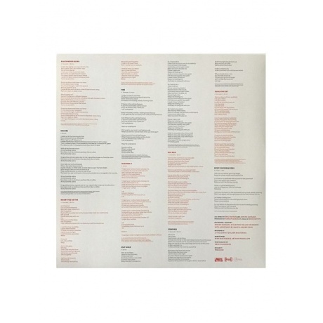 5400863011536, Виниловая пластинка Black Pumas, Black Pumas - фото 6