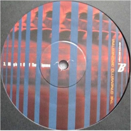 The Cinematic Orchestra - Motion (5021392199184) виниловая пластинка - фото 4