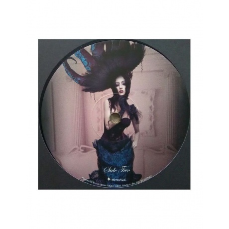 Cradle Of Filth - Evermore Darkly (0801056860217) виниловая пластинка - фото 4