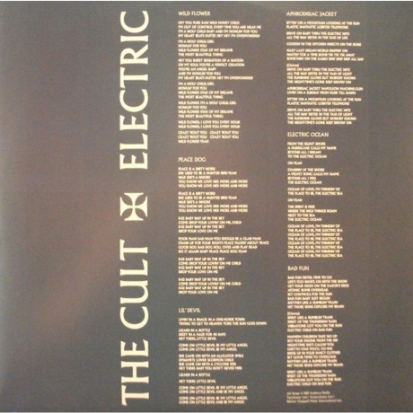 The Cult - Electric Peace (0607618212513) виниловая пластинка - фото 8