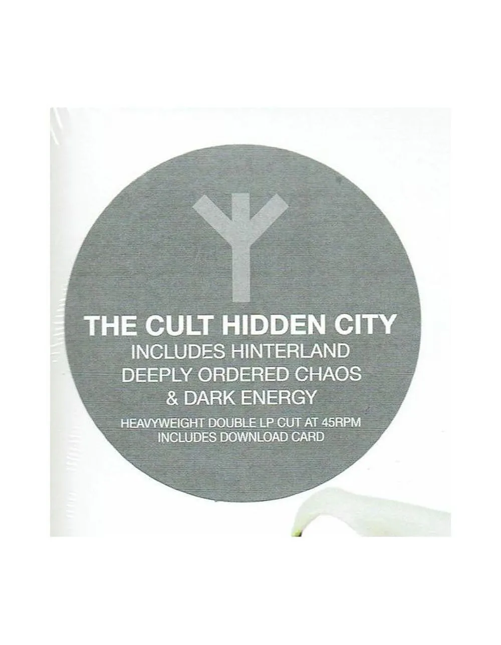 0711297512113, Виниловая пластинка Cult, The, Hidden City - фото 12