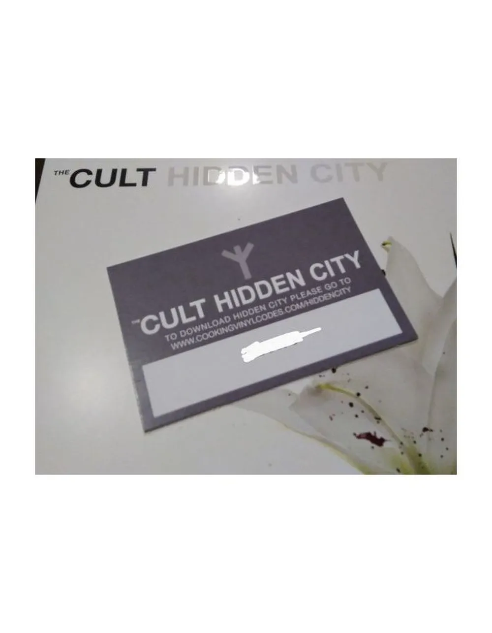 0711297512113, Виниловая пластинка Cult, The, Hidden City - фото 13