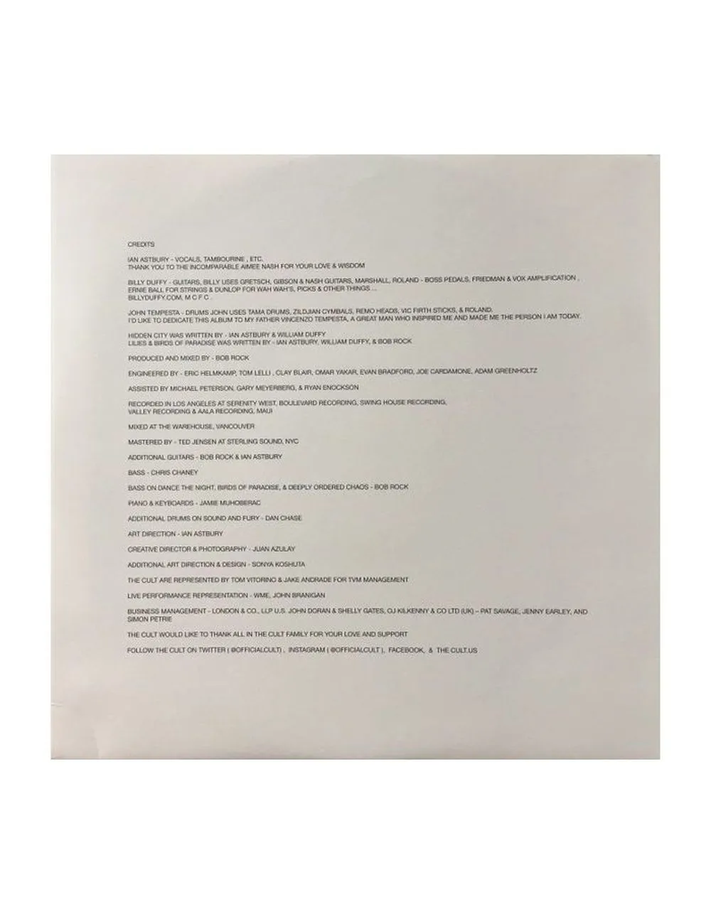 0711297512113, Виниловая пластинка Cult, The, Hidden City - фото 10