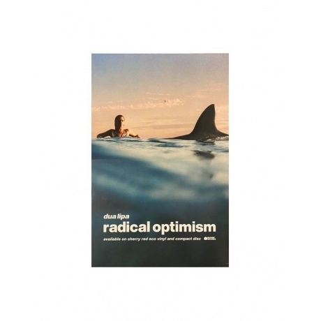 Dua Lipa - Radical Optimism (coloured) (5054197943461) виниловая пластинка - фото 10