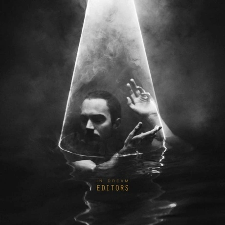 5414939925641, Editors, In Dream виниловая пластинка
