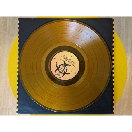 Epica - The Alchemy Project (coloured) (4251981702476) виниловая пластинка - фото 4