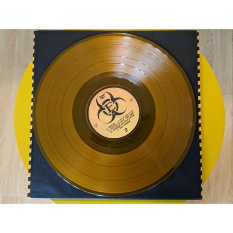 Epica - The Alchemy Project (coloured) (4251981702476) виниловая пластинка - фото 5