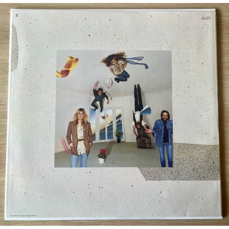 Fleetwood Mac - Tusk (coloured) (0603497825127) виниловая пластинка - фото 9