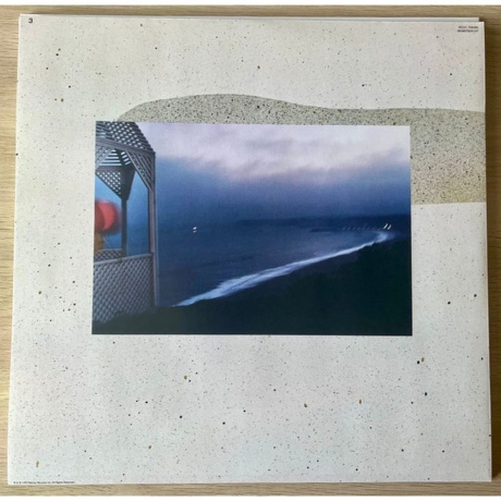 Fleetwood Mac - Tusk (coloured) (0603497825127) виниловая пластинка - фото 10