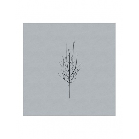 0098787114416, Виниловая пластинка Low, Ones And Sixes - фото 3