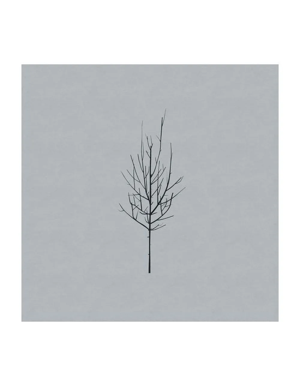 0098787114416, Виниловая пластинка Low, Ones And Sixes - фото 3