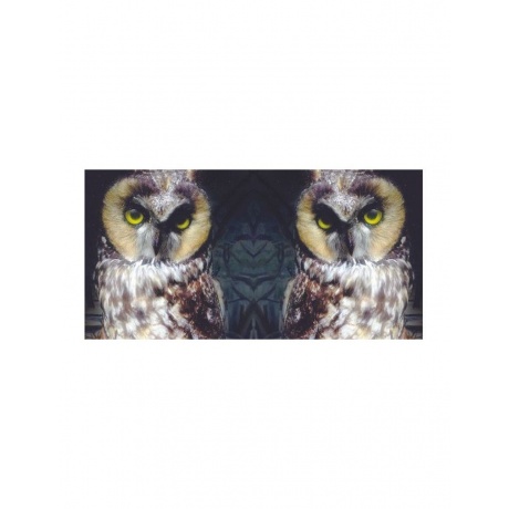 0098787114416, Виниловая пластинка Low, Ones And Sixes - фото 4