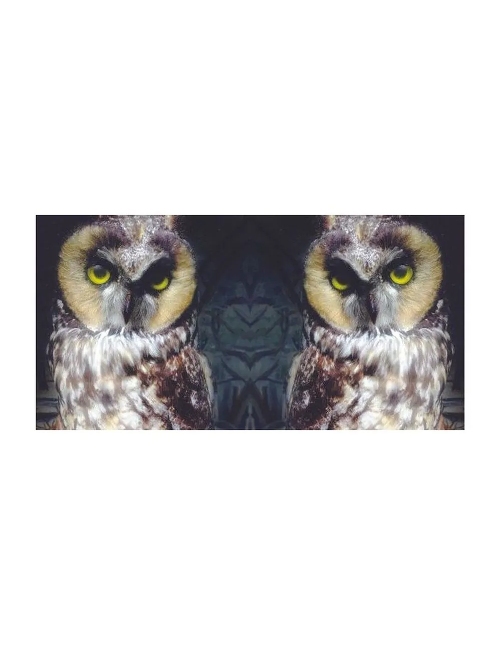 0098787114416, Виниловая пластинка Low, Ones And Sixes - фото 4