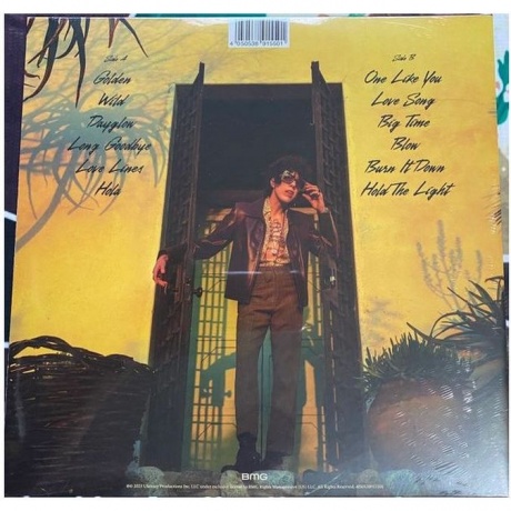 LP - Love Lines (4050538915501) виниловая пластинка - фото 2