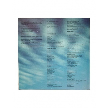 Beth Gibbons - Lives Outgrown (0887828028719) виниловая пластинка - фото 6