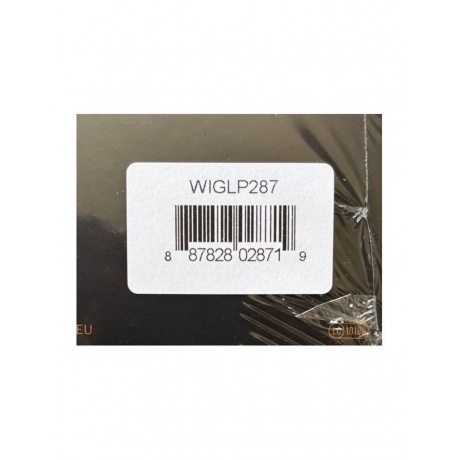 Beth Gibbons - Lives Outgrown (0887828028719) виниловая пластинка - фото 10