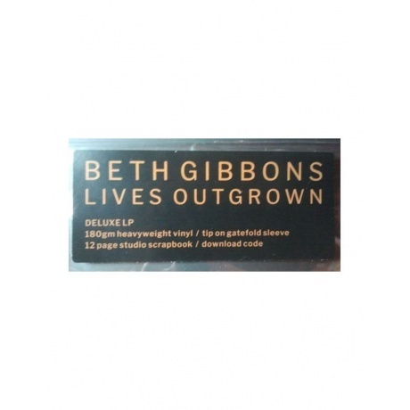 Beth Gibbons - Lives Outgrown - deluxe (0887828028733) виниловая пластинка - фото 4