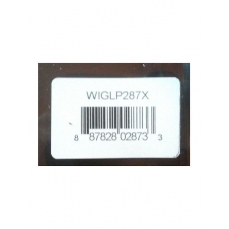 Beth Gibbons - Lives Outgrown - deluxe (0887828028733) виниловая пластинка - фото 5