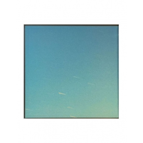 Beth Gibbons - Lives Outgrown - deluxe (0887828028771) виниловая пластинка - фото 2