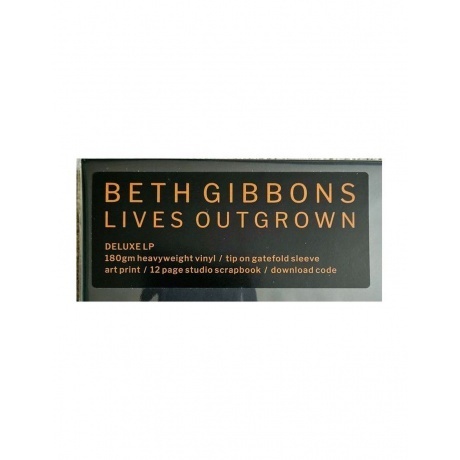Beth Gibbons - Lives Outgrown - deluxe (0887828028771) виниловая пластинка - фото 12