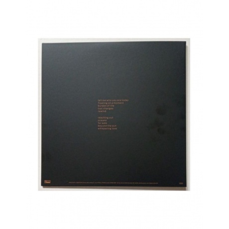 Beth Gibbons - Lives Outgrown - deluxe (0887828028771) виниловая пластинка - фото 4