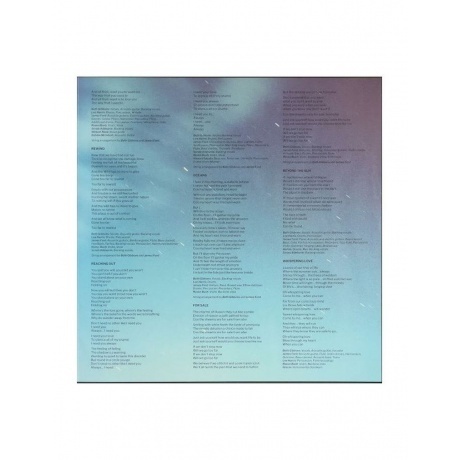 Beth Gibbons - Lives Outgrown - deluxe (0887828028771) виниловая пластинка - фото 8