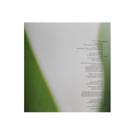 Nine Inch Nails - The Fragile (0602557142778) виниловая пластинка - фото 21