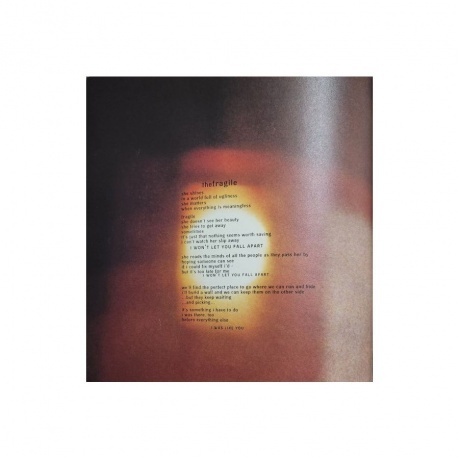 Nine Inch Nails - The Fragile (0602557142778) виниловая пластинка - фото 22