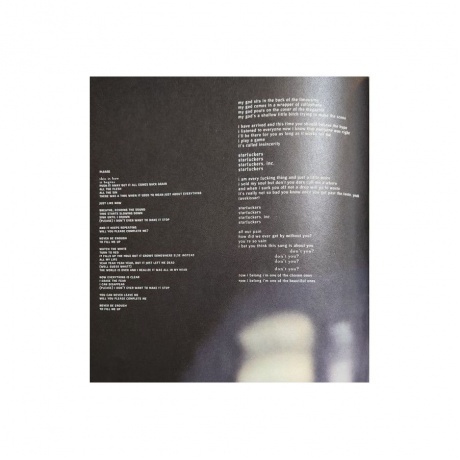 Nine Inch Nails - The Fragile (0602557142778) виниловая пластинка - фото 32