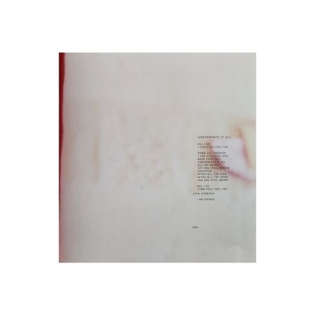 Nine Inch Nails - The Fragile (0602557142778) виниловая пластинка - фото 35