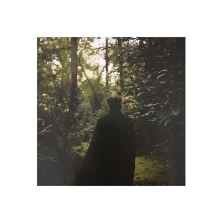 Angel Olsen - Big Time (0656605242415) виниловая пластинка - фото 18