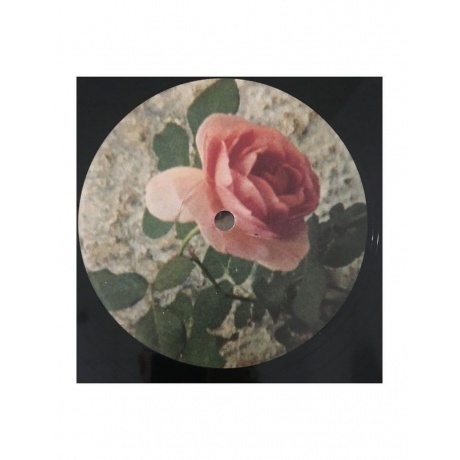 Angel Olsen - Big Time (0656605242415) виниловая пластинка - фото 4