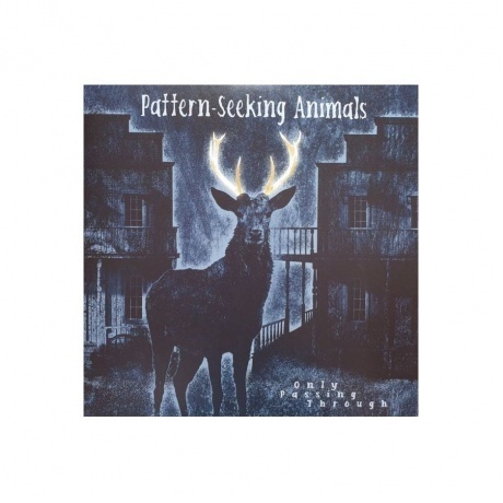 

Pattern-Seeking Animals - Only Passing Through (0194399822111) виниловая пластинка