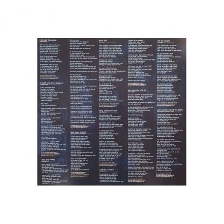 Pattern-Seeking Animals - Only Passing Through (0194399822111) виниловая пластинка - фото 11