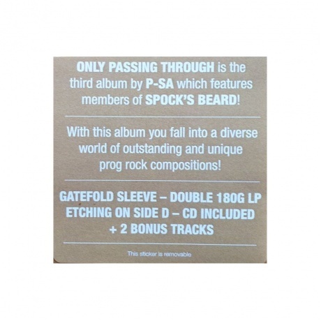 Pattern-Seeking Animals - Only Passing Through (0194399822111) виниловая пластинка - фото 12