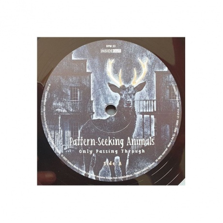 Pattern-Seeking Animals - Only Passing Through (0194399822111) виниловая пластинка - фото 4