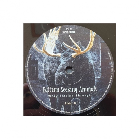 Pattern-Seeking Animals - Only Passing Through (0194399822111) виниловая пластинка - фото 5