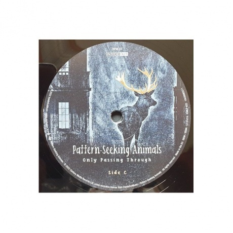 Pattern-Seeking Animals - Only Passing Through (0194399822111) виниловая пластинка - фото 6