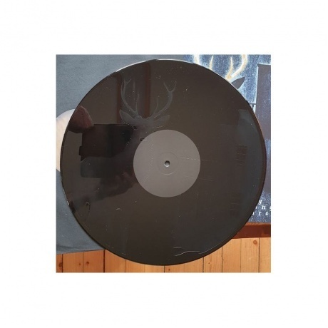 Pattern-Seeking Animals - Only Passing Through (0194399822111) виниловая пластинка - фото 7